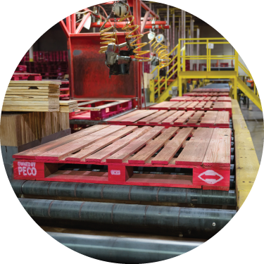 How Pallets Can Help Build Greener Supply Chains